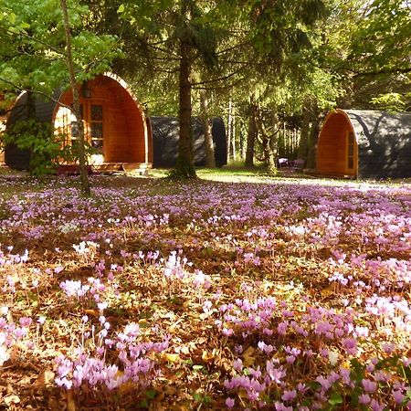 La Rossignolerie - Pod Cabanes Des Chateaux Chouzy-sur-Cisse Zewnętrze zdjęcie