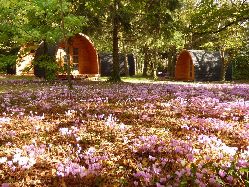 La Rossignolerie - Pod Cabanes Des Chateaux Chouzy-sur-Cisse Zewnętrze zdjęcie