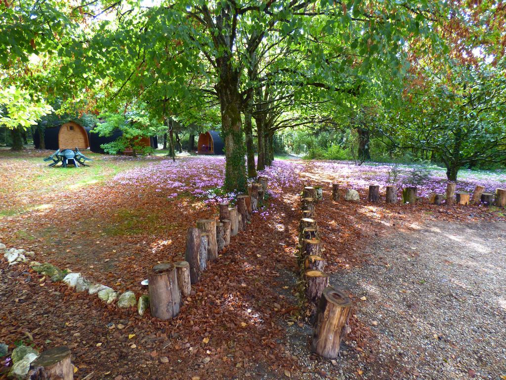 La Rossignolerie - Pod Cabanes Des Chateaux Chouzy-sur-Cisse Zewnętrze zdjęcie